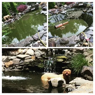 PONDS — Landscape Construction project by Green Acres Landscaping, Design, Irrigation & Con