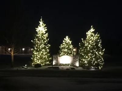 Holiday Lighting — Landscape Construction project by Green Acres Lawn Care And Landscaping Group, Inc.