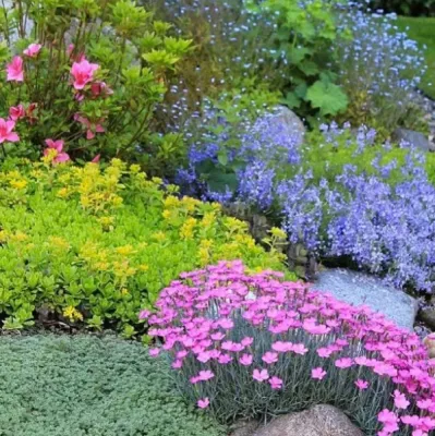 Green Balance Landscaping - Sidewalk & Pathway Installation in Littleton, CO