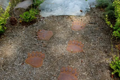 Pathways — Landscape Construction project by Green Envy, Inc.