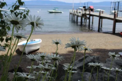 Green Envy, Inc. - Paver Installation in Tahoe City, CA