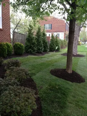 BrightShade Gardens, LLC. - Sidewalk & Pathway Installation in Alexandria, VA