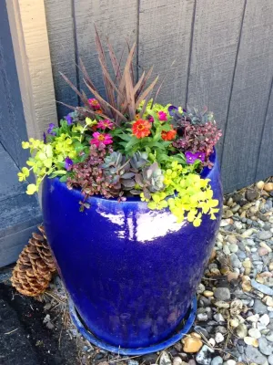 Green Envy, Inc. - Paver Installation in Tahoe City, CA