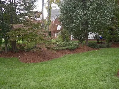 Green Gene's Horticulture - Tree & Shrub Care in Raleigh, NC