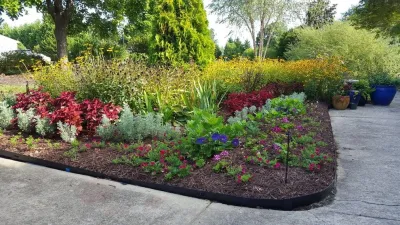 Green Gene's Horticulture - Tree & Shrub Care in Raleigh, NC