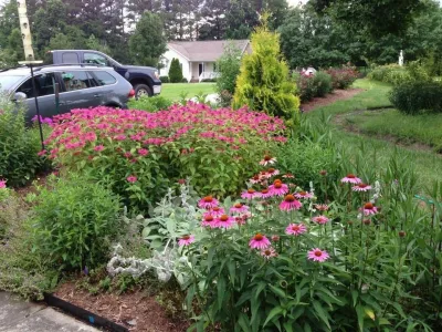 Green Gene's Horticulture - Tree & Shrub Care in Raleigh, NC