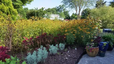 Green Gene's Horticulture - Tree & Shrub Care in Raleigh, NC