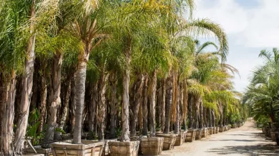 Green Landscape Nursery - Landscape Construction in Santa Clarita, CA