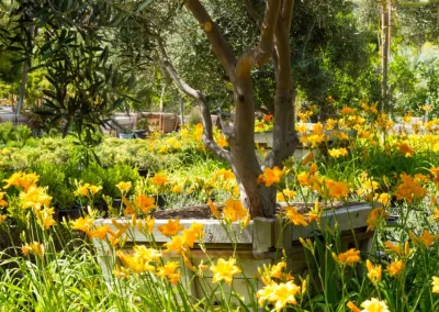Green Landscape Nursery - Landscape Construction in Santa Clarita, CA