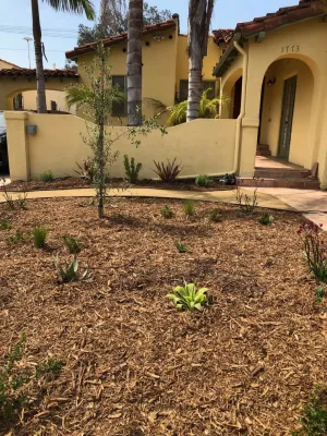 Adler Project — Landscape Construction project by Green Republic Landscapes Inc. in Los Angeles