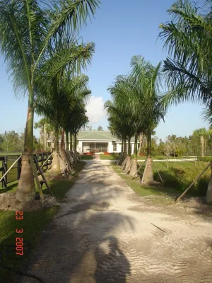 Green Team Solutions - Landscape Maintenance in Wellington, AL