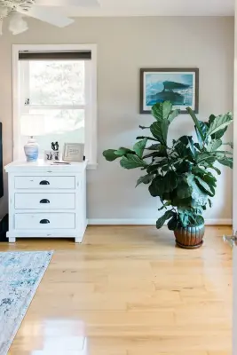 In Focus Interiors - Professional Home Organizers in Blacksburg, VA