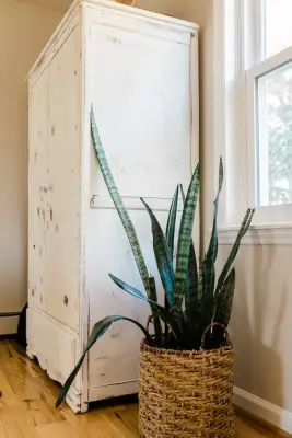 In Focus Interiors - Professional Home Organizers in Blacksburg, VA