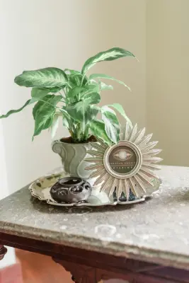 Donovan Charles Interiors - Interior Design & Decorating in Warsaw, OH