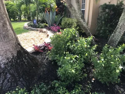 Green Team Solutions - Landscape Maintenance in Wellington, AL