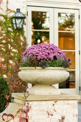 Greenhaven Landscapes Inc. - Drip Irrigation System Installation in Lake Bluff, IL
