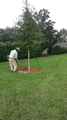 Greenleaf Landscape Maintenance, Inc - Irrigation System Repair in Orlando, FL