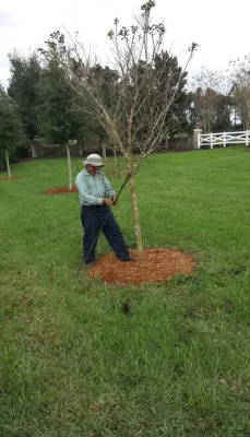 Greenleaf Landscape Maintenance, Inc - Irrigation System Repair in Orlando, FL