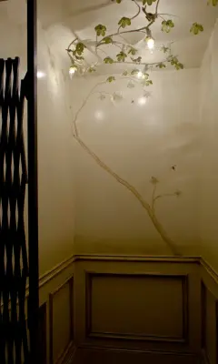 Audrey Curl Interiors - Kitchen Remodeling in San Antonio, TX