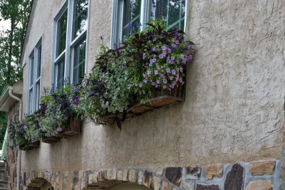 Poolscape and Planters — Landscape Design project by Britney O'Donnell Garden Design
