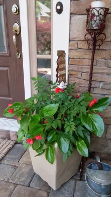 Greenshooz Landscaping - Outdoor Lighting Installation in Cumming, GA