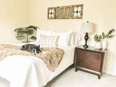 Guest Room Renovation — Interior Design & Decorating project by 910 Design