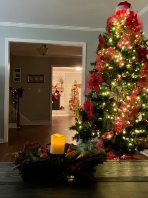 Blue Lillie - Smart Home & Theater Installers in Jacksonville, NC