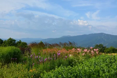 Broadleaf Landscape Architecture - Landscape Design in Waitsfield, VT