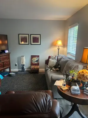 Family Room Renovation with Park View — Interior Design & Decorating project by Morfio Design LLC