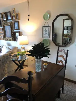 Shannon Puckett Interior Design - Window Installation & Replacement in Owensboro, KY