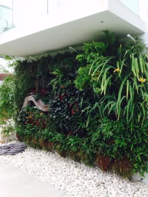 GreenWalls 305, LLC - Landscape Maintenance in Miami, FL