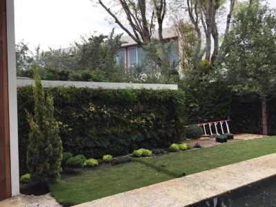 GreenWalls 305, LLC - Landscape Maintenance in Miami, FL