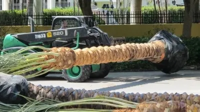 Landscape Installation — Landscape Construction project by GreenWalls 305, LLC in Miami