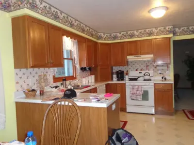 Affordable Kitchen Enhancements — Interior Design & Decorating project by Karen Savage Design