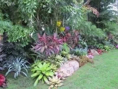 GreenWalls 305, LLC - Landscape Maintenance in Miami, FL