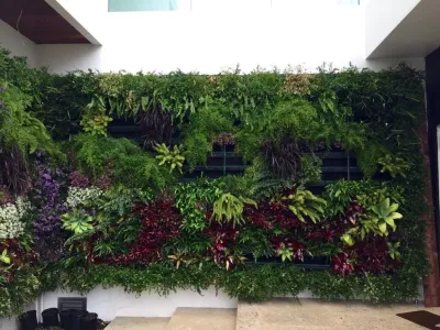 Vertical Gardens — Landscape Construction project by GreenWalls 305, LLC in Miami
