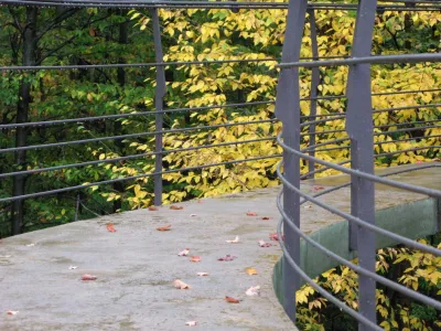 Broadleaf Landscape Architecture - Landscape Design in Waitsfield, VT