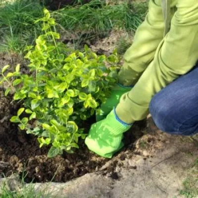 Greer Land and Lawn LLC - Lawn Care & Mowing in Greer, SC