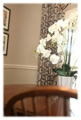 Ruthie Staalsen Interiors - Design-Build Services in Grapevine, TX