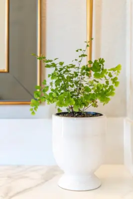 Sarah Blackbern Interiors - Kitchen Remodeling in Sparks, NV