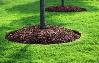 Rebuilding and mulching flower bed — Landscape Construction project by H&S Professional Lawncare And Property Maintenance