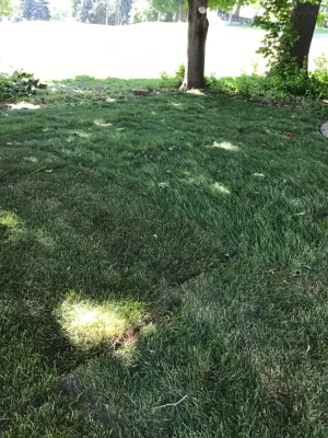 H&S Professional Lawncare and Property Maintenance - Retaining Wall Construction in Minneapolis, MN