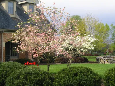 Traditional Home and Estate Garden by Hanselman Landscape And Gardens