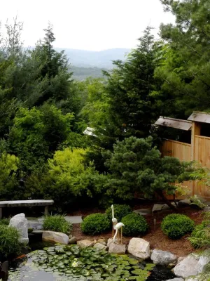 Japanese-Inspired Garden with Koi Pond by Hanselman Landscape And Gardens