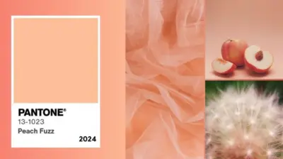 Hue Trends by K LINN Interiors