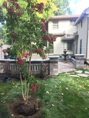 Harder and Warner, INC - Tree & Shrub Care in Caledonia, MI