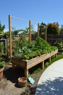Harvest to Home Vegetable & Herb Garden Service - Tree & Shrub Care in Costa Mesa, CA