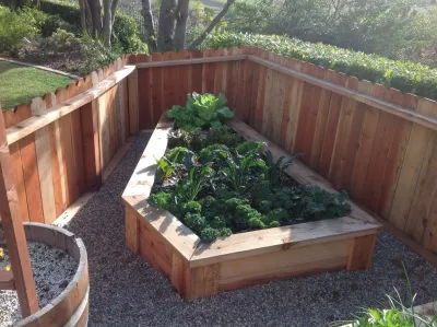Harvest to Home Vegetable & Herb Garden Service - Tree & Shrub Care in Costa Mesa, CA