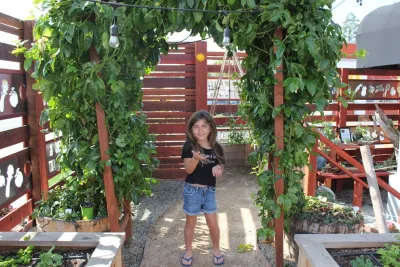 Harvest to Home Vegetable & Herb Garden Service - Tree & Shrub Care in Costa Mesa, CA