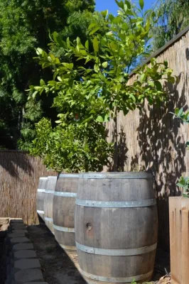 Harvest to Home Vegetable & Herb Garden Service - Tree & Shrub Care in Costa Mesa, CA